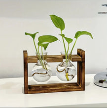 Load image into Gallery viewer, Multi-Tube Hydroponic Propagation Station with Wooden Card Holder – A Thoughtful Gift for Plant Lovers