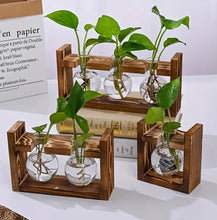 Load image into Gallery viewer, Multi-Tube Hydroponic Propagation Station with Wooden Card Holder – A Thoughtful Gift for Plant Lovers