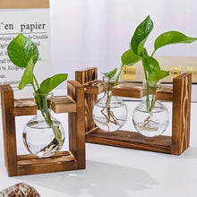 Load image into Gallery viewer, Multi-Tube Hydroponic Propagation Station with Wooden Card Holder – A Thoughtful Gift for Plant Lovers