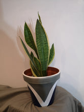 Load image into Gallery viewer, Rainbow handpainted Pots