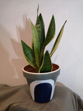 Load image into Gallery viewer, Rainbow handpainted Pots
