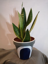 Load image into Gallery viewer, Rainbow handpainted Pots
