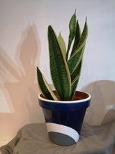 Load image into Gallery viewer, Rainbow handpainted Pots