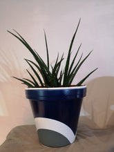 Load image into Gallery viewer, Rainbow handpainted Pots