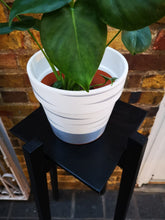 Load image into Gallery viewer, Ebony Black Square Shelf Removable Board