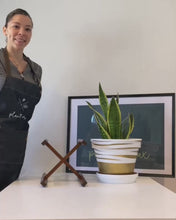 Load and play video in Gallery viewer, Plant Pot Stand Hand Made in Real Wood in our classic leg Ebony Black.