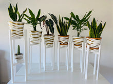 Load image into Gallery viewer, Medium Classic Leg Plant Pot Stand in 40 & 50cm Hand Made in UK