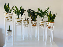 Load image into Gallery viewer, Medium Classic Leg Plant Pot Stand in 40 & 50cm Hand Made in UK