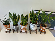 Load image into Gallery viewer, Mini Slim leg Plant Pot Stand Hand made in UK