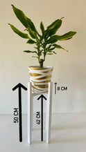 Load image into Gallery viewer, Medium Classic Leg Plant Pot Stand in 40 & 50cm Hand Made in UK