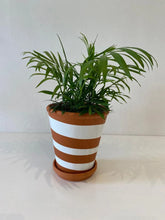 Load image into Gallery viewer, White & Terracotta hand painted design