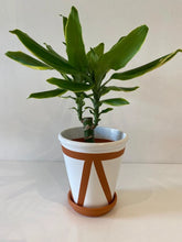 Load image into Gallery viewer, White & Terracotta hand painted design