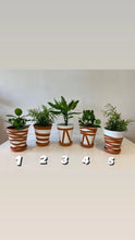 Load image into Gallery viewer, White & Terracotta hand painted design
