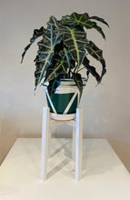 Load image into Gallery viewer, Triangles & Waves hand painted Pot