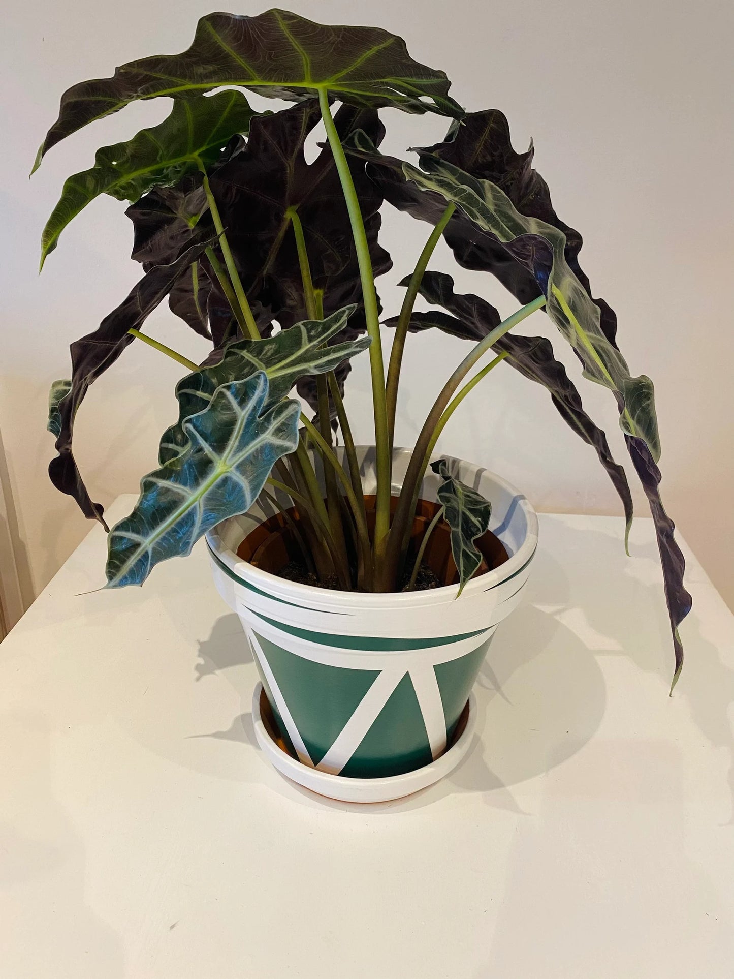 Triangles & Waves hand painted Pot