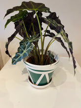Load image into Gallery viewer, Triangles & Waves hand painted Pot