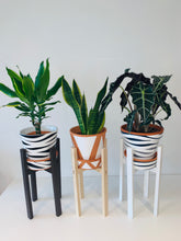 Load image into Gallery viewer, Classic Leg from 25 to 50 cm tall Plant Pot Stand Hand made