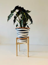 Load image into Gallery viewer, Medium Size in Round Leg Plant Pot Stand from 30cm to 40cm High
