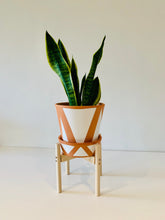 Load image into Gallery viewer, Medium Size in Round Leg Plant Pot Stand from 30cm to 40cm High