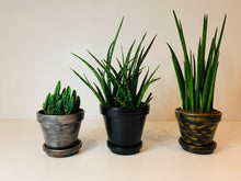 Load image into Gallery viewer, Etruscan black hand painted Plant Pots set of two