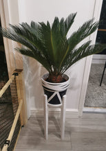 Load image into Gallery viewer, Classic Leg Plant Pot Stand 40cm High Hand made in UK