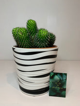Load image into Gallery viewer, Hand painted pots