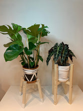 Load image into Gallery viewer, Diagonal Shape Plant Pot Stand 30 cm High in our 33mm Quadrone leg