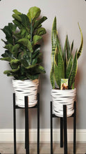 Load image into Gallery viewer, White Tiger Pots