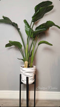 Load image into Gallery viewer, White Tiger Pots