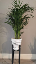 Load image into Gallery viewer, White Tiger Pots