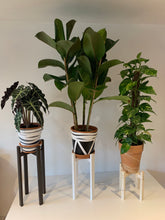 Load image into Gallery viewer, Classic leg Plant Pot Stand 25 cm Tall With High Tier Hand made