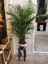 Load image into Gallery viewer, Classic Leg Plant Pot Stand 40cm High Hand made in UK