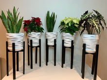 Load image into Gallery viewer, Medium Plant Pot Stand in our classic leg up to 50cm Tall Hand made in UK