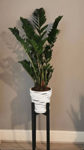 Load image into Gallery viewer, White Tiger Pots