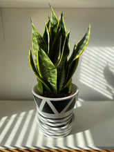 Load image into Gallery viewer, Aztec Design Hand Painted Pots