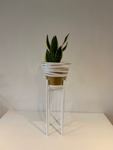 Load image into Gallery viewer, Large Plant Round Leg Pot Stand 60 cm and 70 cm tall Hand made in 100% UK