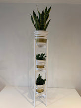 Load image into Gallery viewer, Extra Large Round Legs Plant Pot Stand Holder Hand made with Triple Tier of 90cm and 110cm tall made in UK