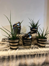 Load image into Gallery viewer, Egyptian Collection plant pots