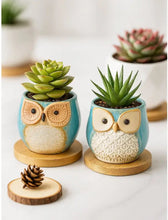 Load image into Gallery viewer, 6pcs Cute Owl Succulent Plant Pots – Ceramic Mini Flower Pots for Indoor &amp; Outdoor Decor
