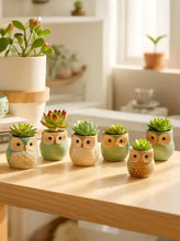 Load image into Gallery viewer, 6pcs Cute Owl Succulent Plant Pots – Ceramic Mini Flower Pots for Indoor &amp; Outdoor Decor
