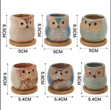 Load image into Gallery viewer, 6pcs Cute Owl Succulent Plant Pots – Ceramic Mini Flower Pots for Indoor &amp; Outdoor Decor
