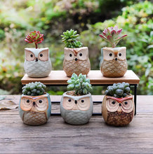 Load image into Gallery viewer, 6pcs Cute Owl Succulent Plant Pots – Ceramic Mini Flower Pots for Indoor &amp; Outdoor Decor
