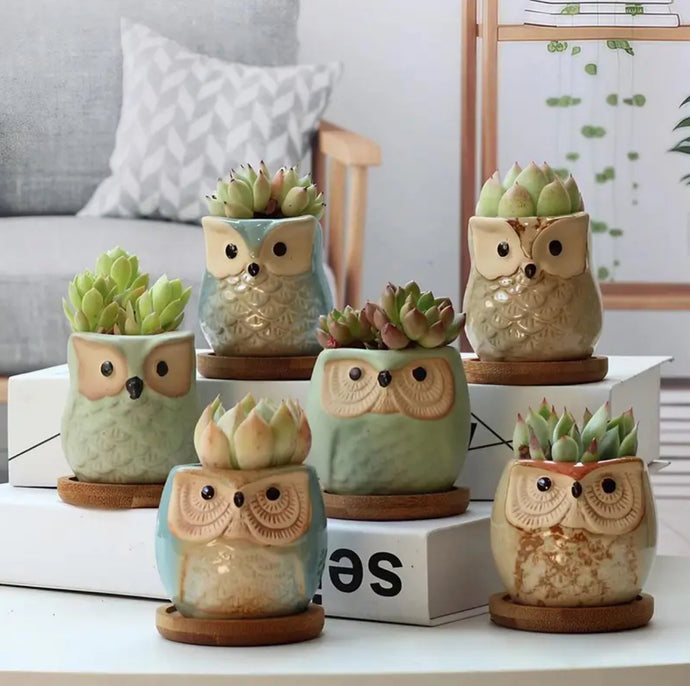 6pcs Cute Owl Succulent Plant Pots – Ceramic Mini Flower Pots for Indoor & Outdoor Decor