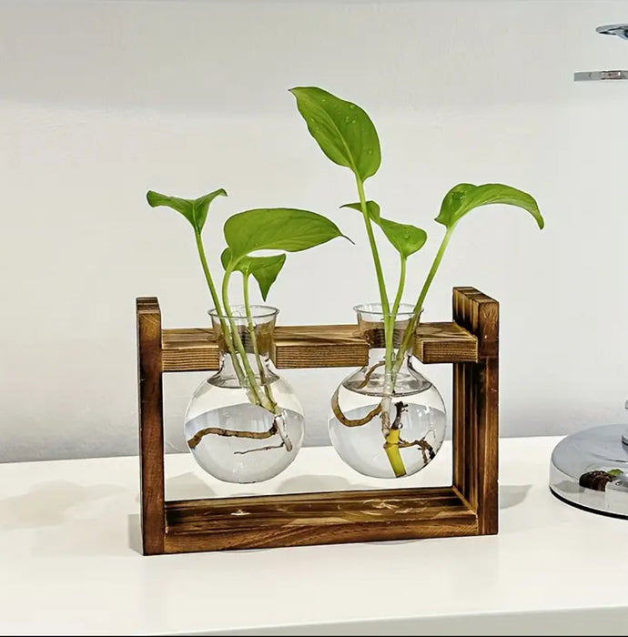Multi-Tube Hydroponic Propagation Station with Wooden Card Holder – A Thoughtful Gift for Plant Lovers