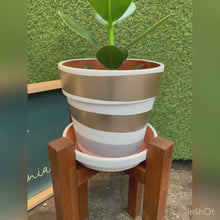 Load and play video in Gallery viewer, Spiral Pots
