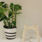 Strong Legs Plant Pot Stand in Diagonal Shape High Tier Hand Made