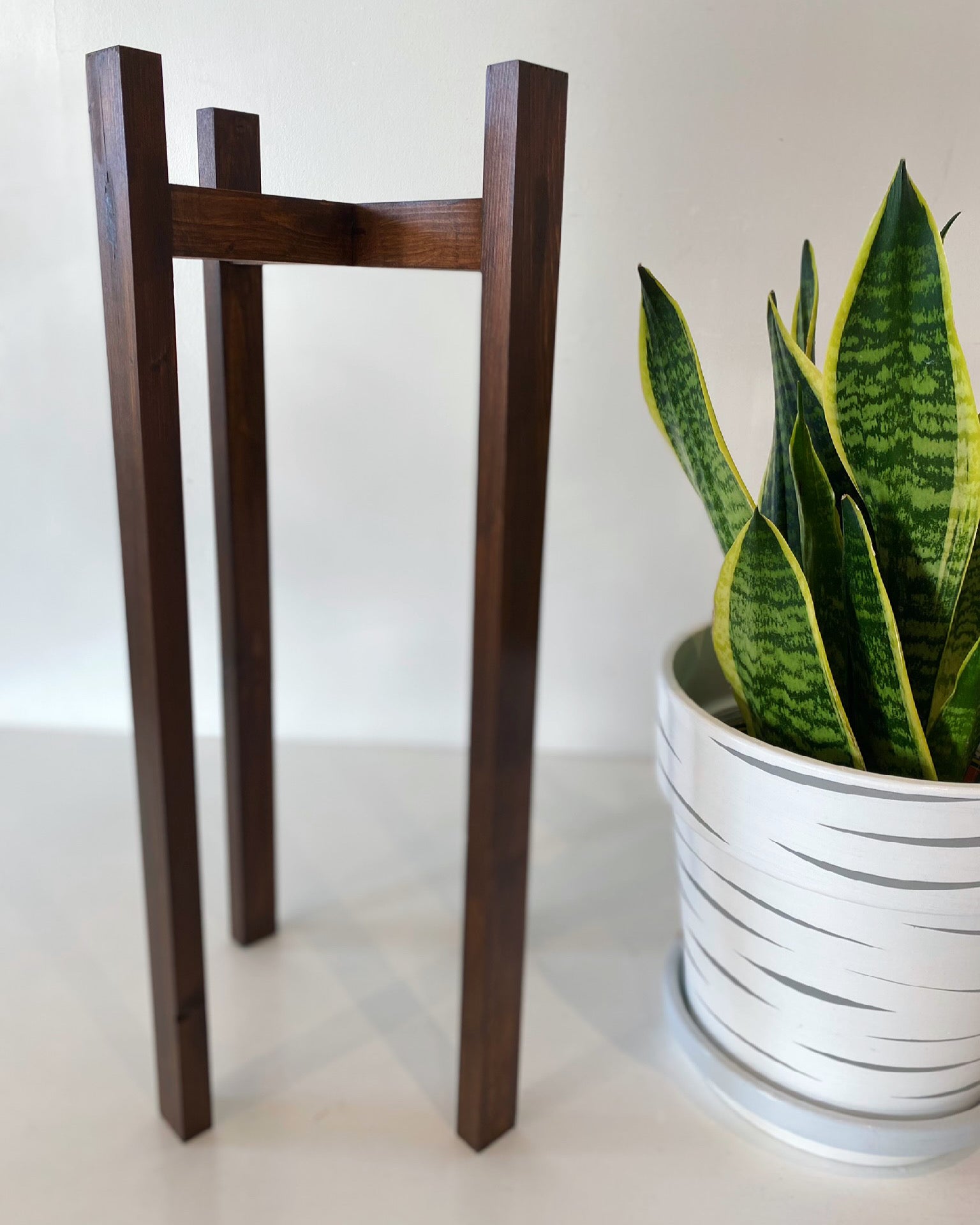 Classic leg Plant Pot Stand 25 cm Tall With High Tier Hand made –  Plant_maniax