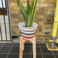 Diagonal Shape Plant Pot Stand 40cm High in our Quadrone leg