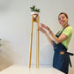 The Giraffe Plant Pot Stand Height from 70cm to 100cm Extra tall Slim Leg