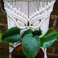 Macrame in white cotton hand made with butterfly design